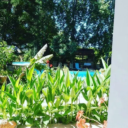 Kritos Appartement Argaka