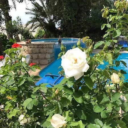 Kritos Appartement Argaka